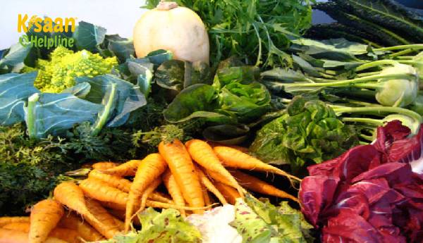 किसानों के विरोध के कारण दिल्ली के थोक बाजार में फल, सब्जियों की बिक्री 30% नीचे